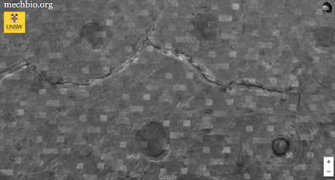 ���ȸ����wݛ�D�����Կ����Լ��ļ�������