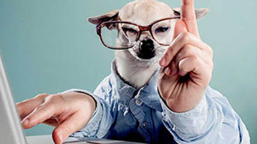 �Wվ�Ñ��w򞃞��